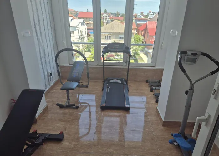 Vila Paun Costineşti